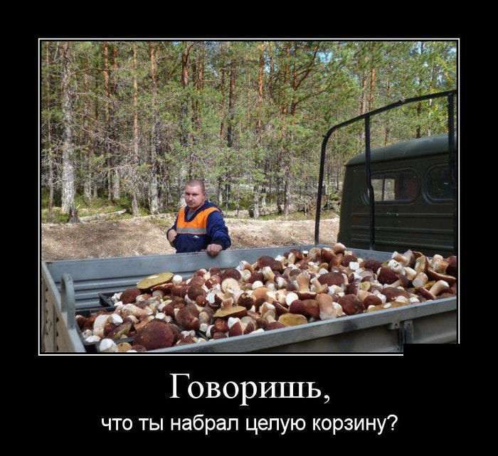 Сборник демотивационных приколов