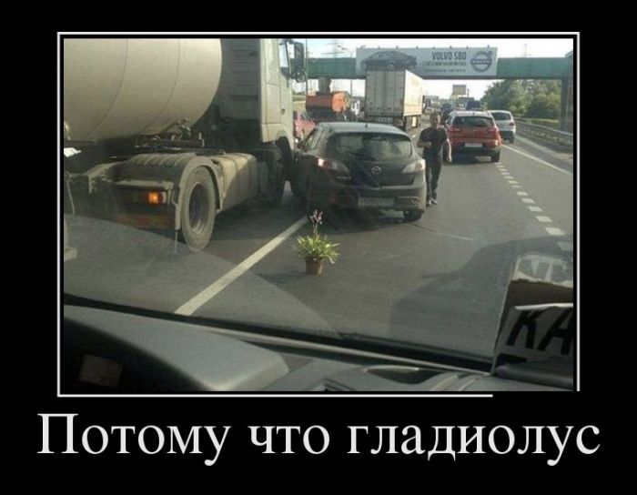 Сборник демотивационных приколов
