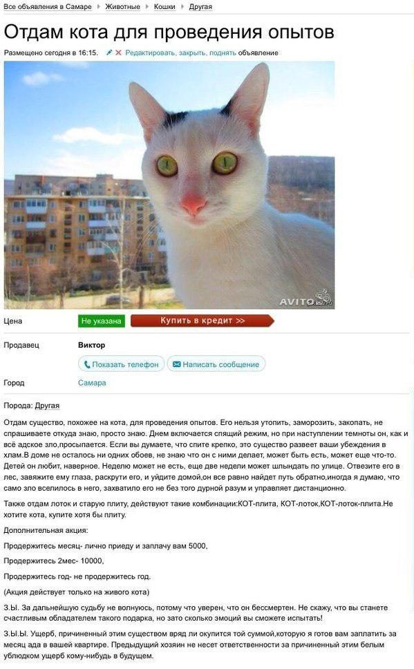 Прикольные объявления на Авито
