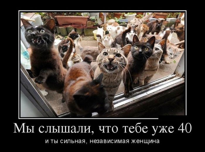 Сборник демотивационных приколов