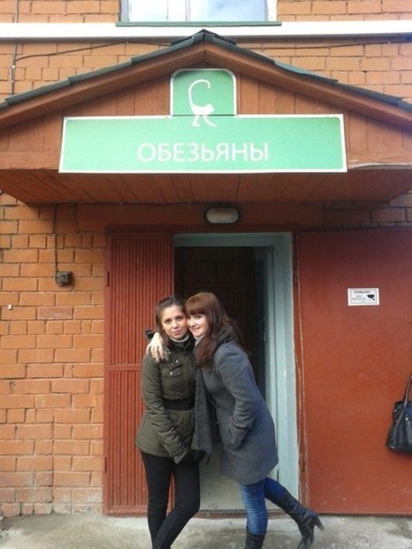 Фото сделанные в нужный момент