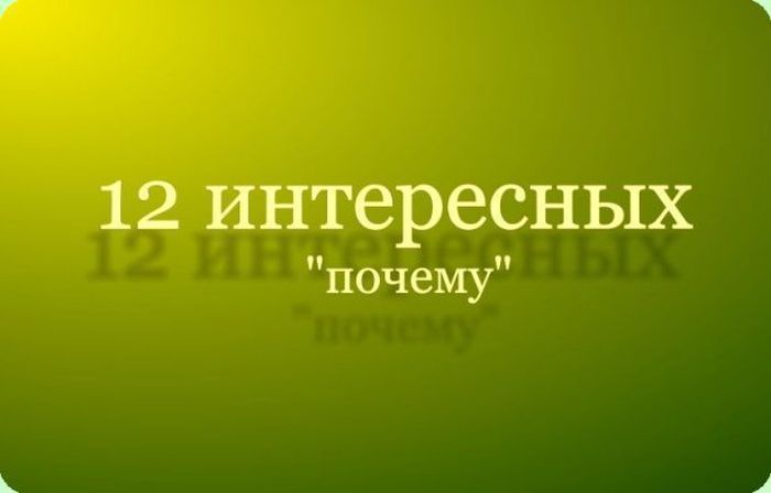 Интереснейшие факты