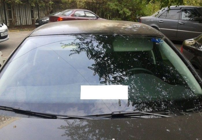 Красноречивая реклама автосигнализации