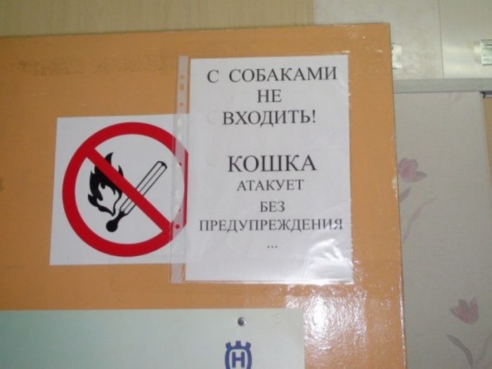 Прикольные надписи