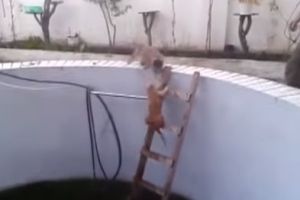 Преступление и наказание