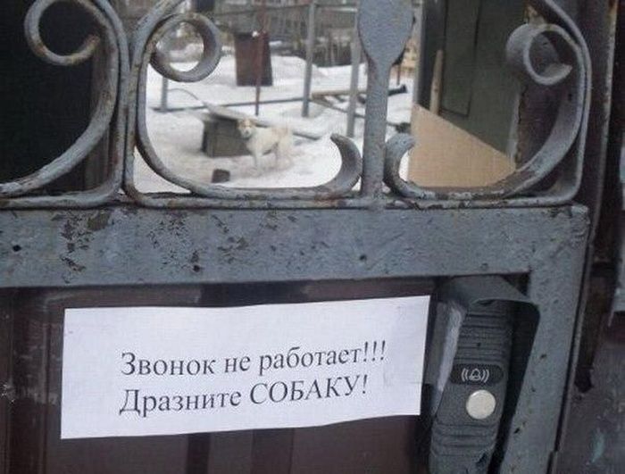 Веселая подборка фотоприколов и классных фото