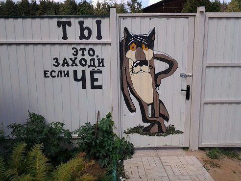 Уморительные фотоприколы