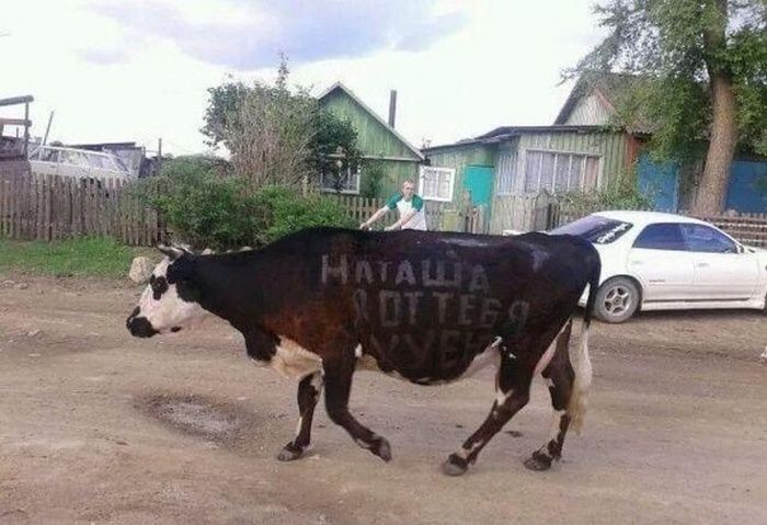 Веселая подборка фотоприколов и просто классных фото