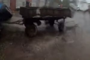 Свежие видео приколы