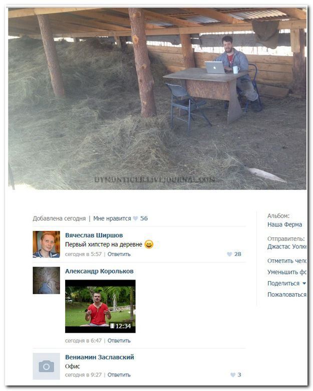 Смешные комментарии из социальных сетей