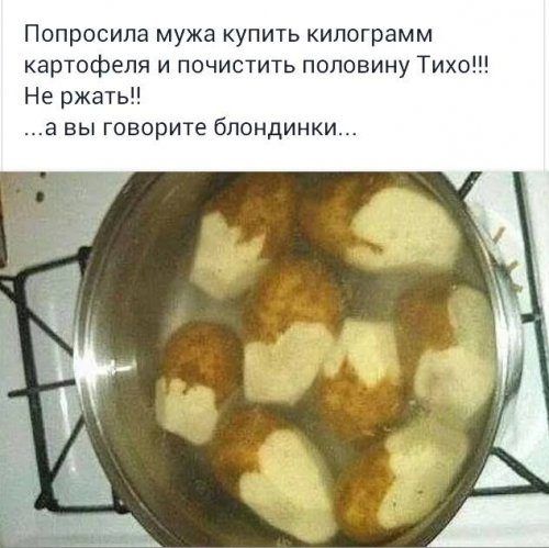 Уморительные фотоприколы
