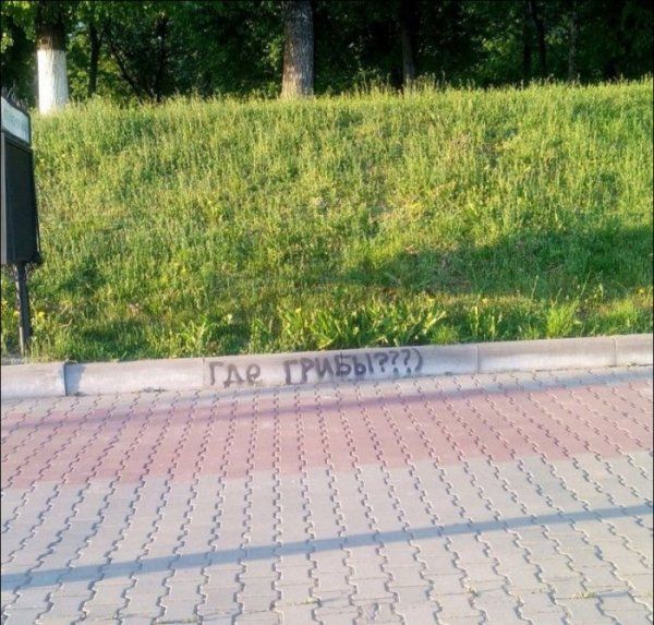 Забавные надписи и объявления