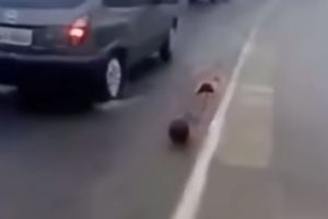 Веселая подборка видео нарезок
