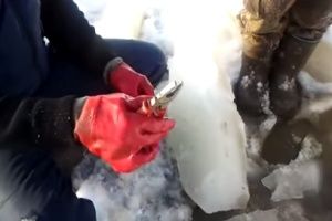 Ловля рыбки на пассатижи