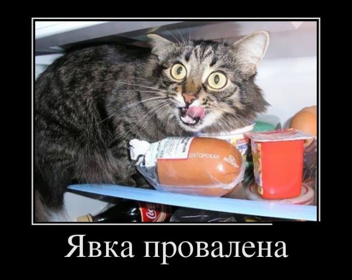 Сборник демотивационных приколов