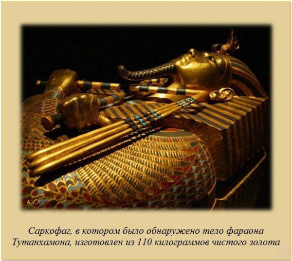 Интересные факты обо всем