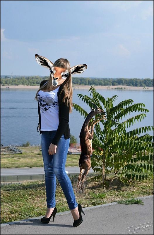 Забавная подборка