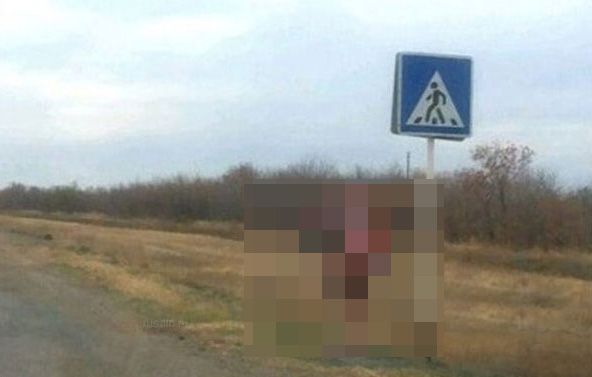 Макеты детей на дорогах