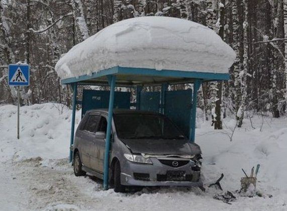 Забавные остановки
