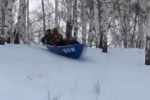 Подборка разных видео приколов