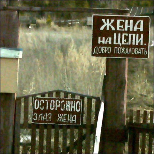 Фото приколы на злобу дня!