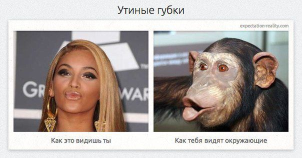 Ожидание и реальность