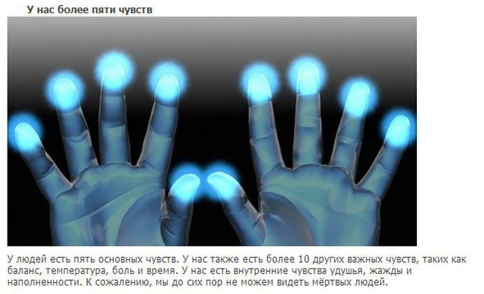 Удивительные факты