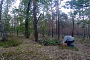 Розыгрыш в стиле зомби апокалипсис
