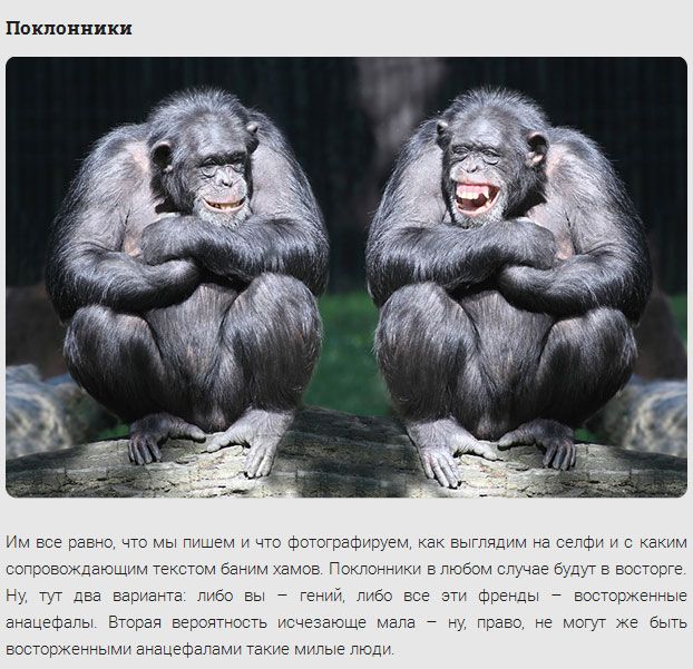 Классификация друзей в соцсетях