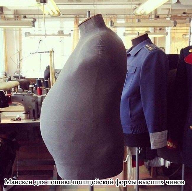 Уморительный сборник фотоприколов и позитивных картинок