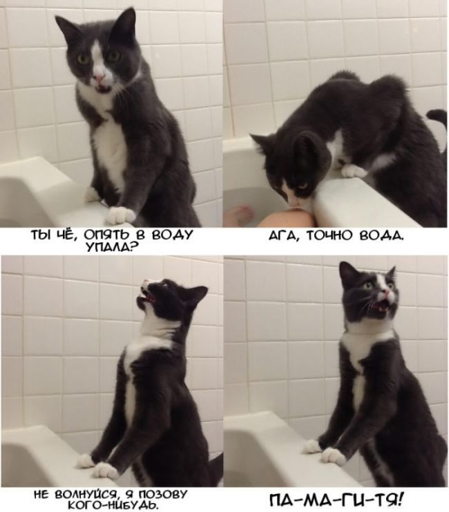 Забавные комиксы