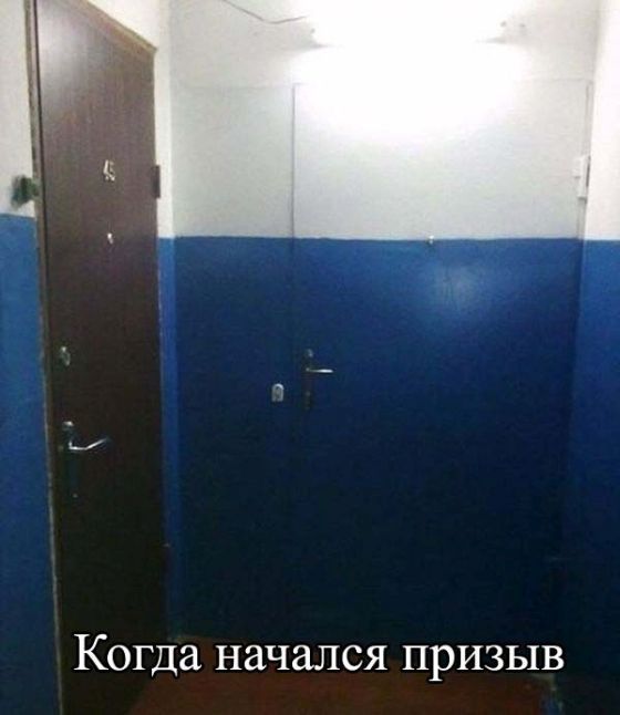 Классная коллекция ежедневных фотоприколов и красивых фото