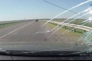 Лобовые сюрпризы