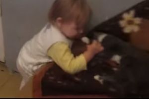 Исходящий звонок по коту