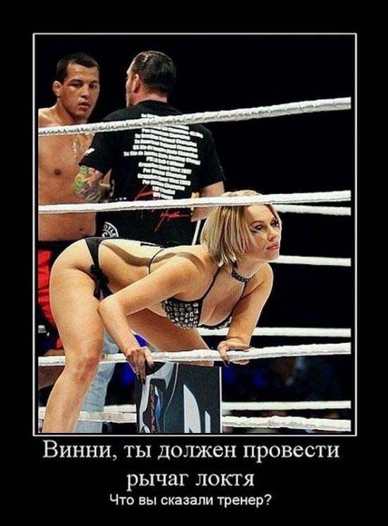 Сборник демотивационных приколов