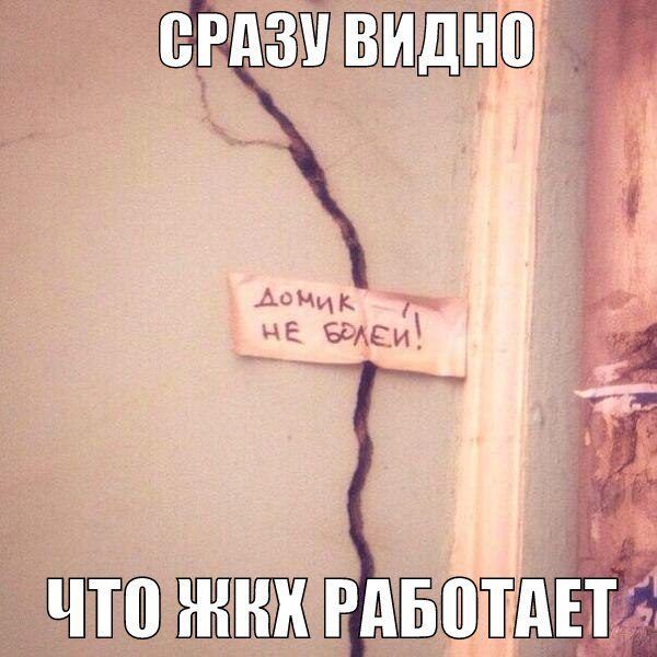Уморительные картинки с фразами