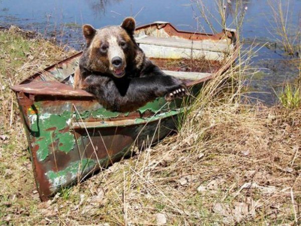 Такое возможно только в России...