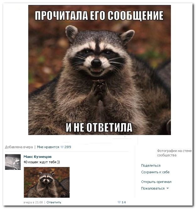 Смешные комментарии из социальных сетей