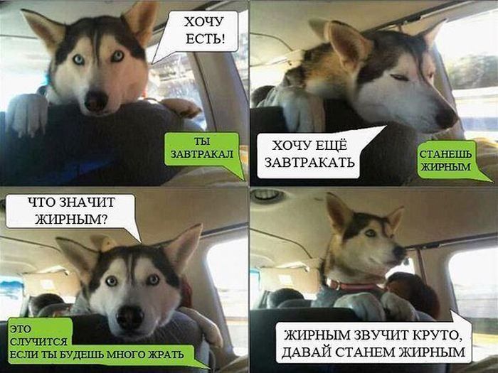 Забавные комиксы