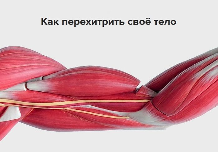 Как обмануть свой организм