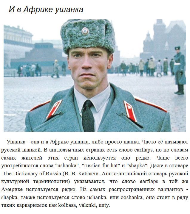 Факты о шапке-ушанке