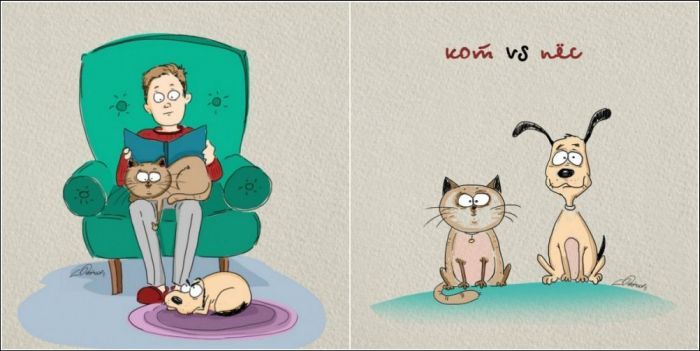 Прикольные отличия кошки и собаки