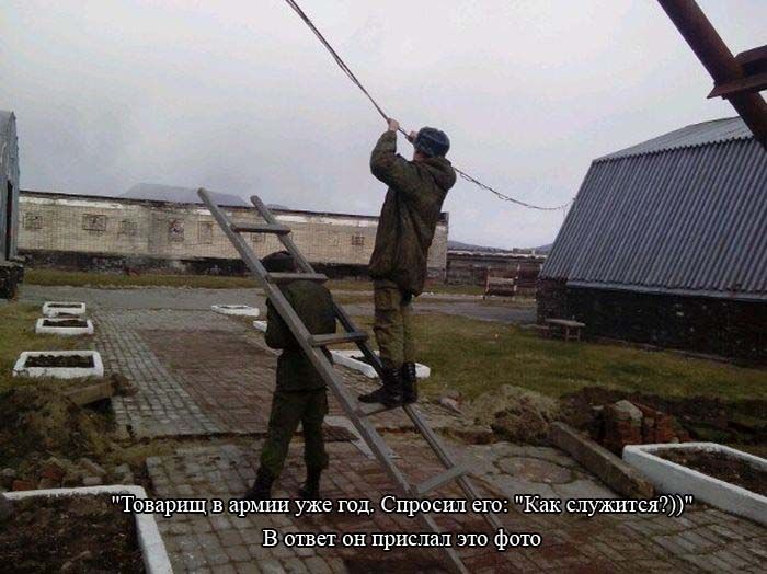 Веселая подборка фотоприколов