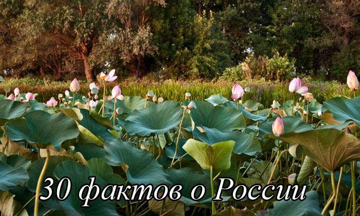 Интересные факты