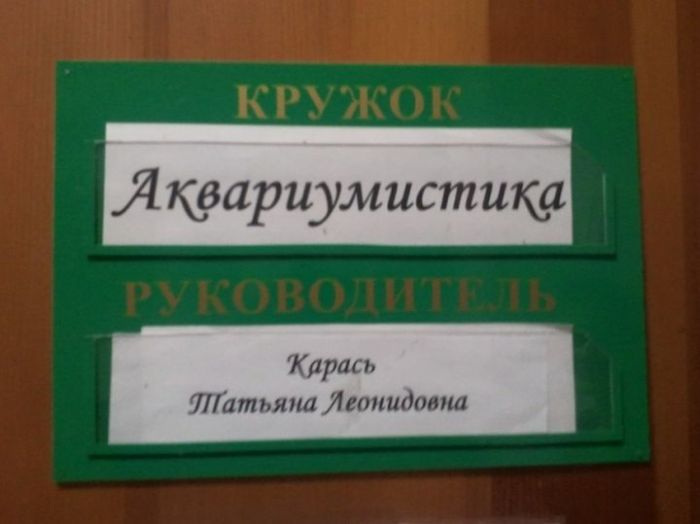 Прикольная подборка юмора