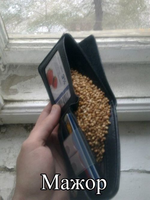 Уморительный сборник фотоприколов