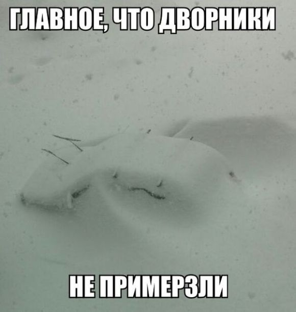 Веселая подборка фотоприколов