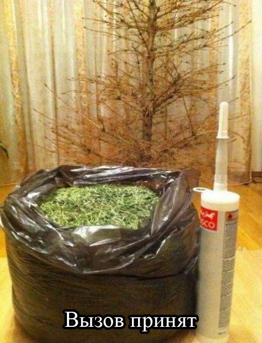 Уморительный сборник фотоприколов