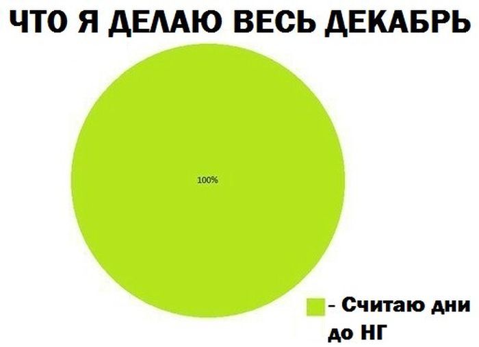 Классная коллекция ежедневных фотоприколов