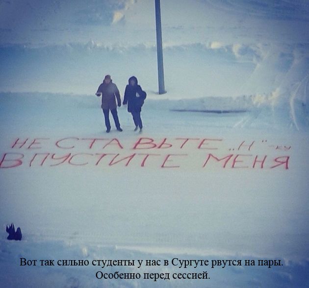 Уморительный сборник фотоприколов